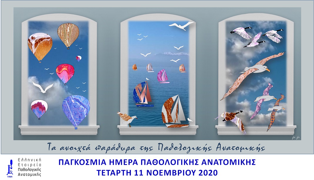 pagk imer path anat poster 11112020